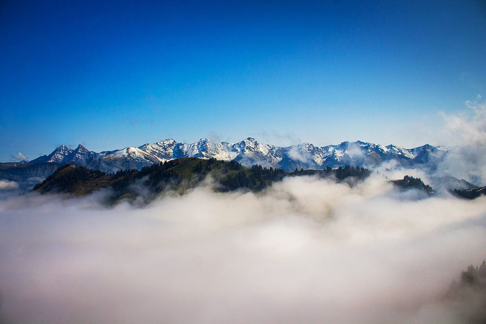 Photograph by Daniel Filipe Santos