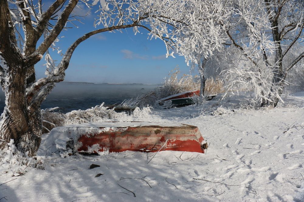 Зимний берег