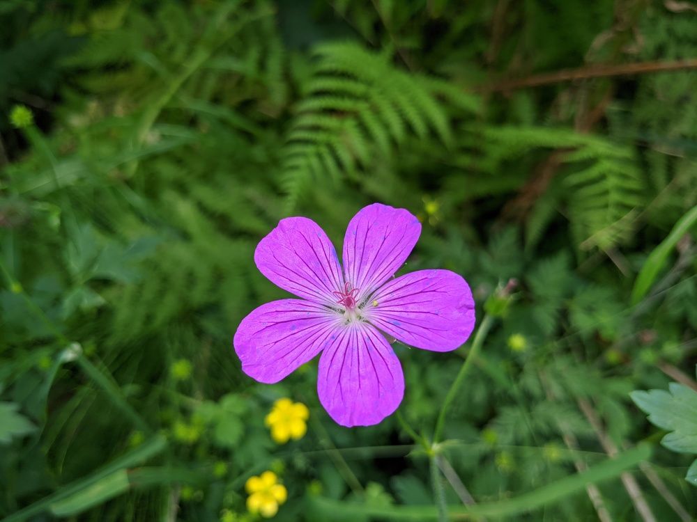 Photograph by Евгений