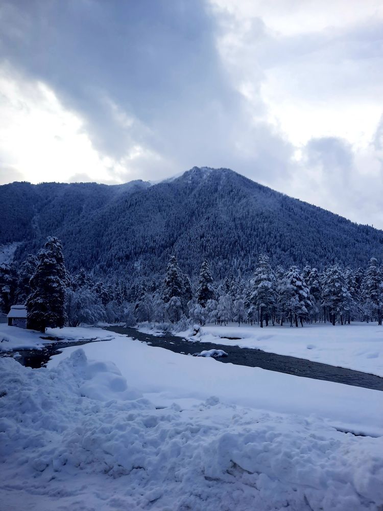 Photograph by Дмитрий Черкашин