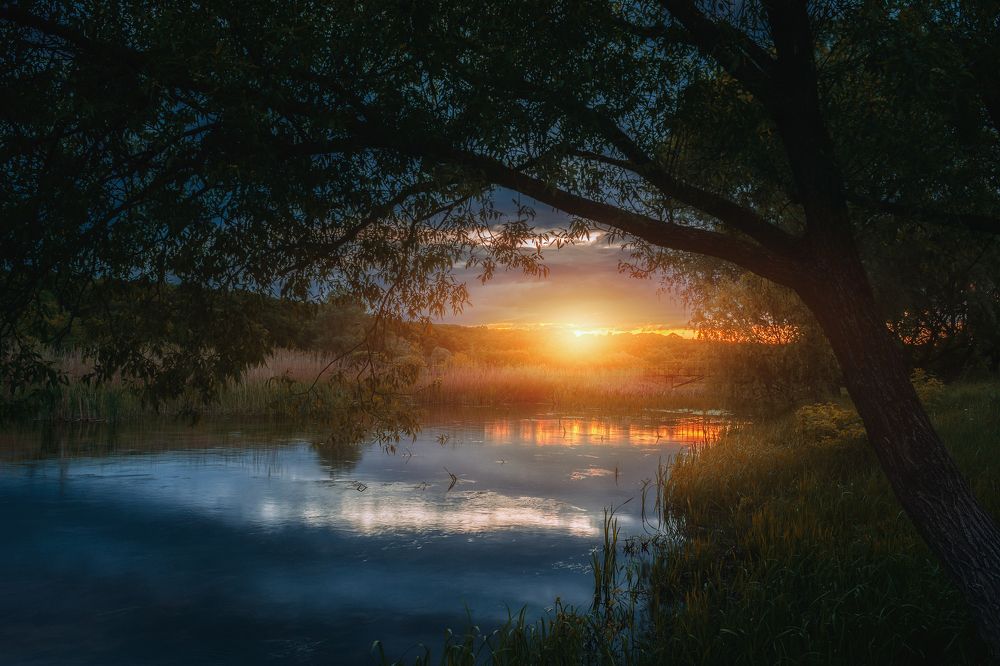 Photograph by Оксана Ильченко