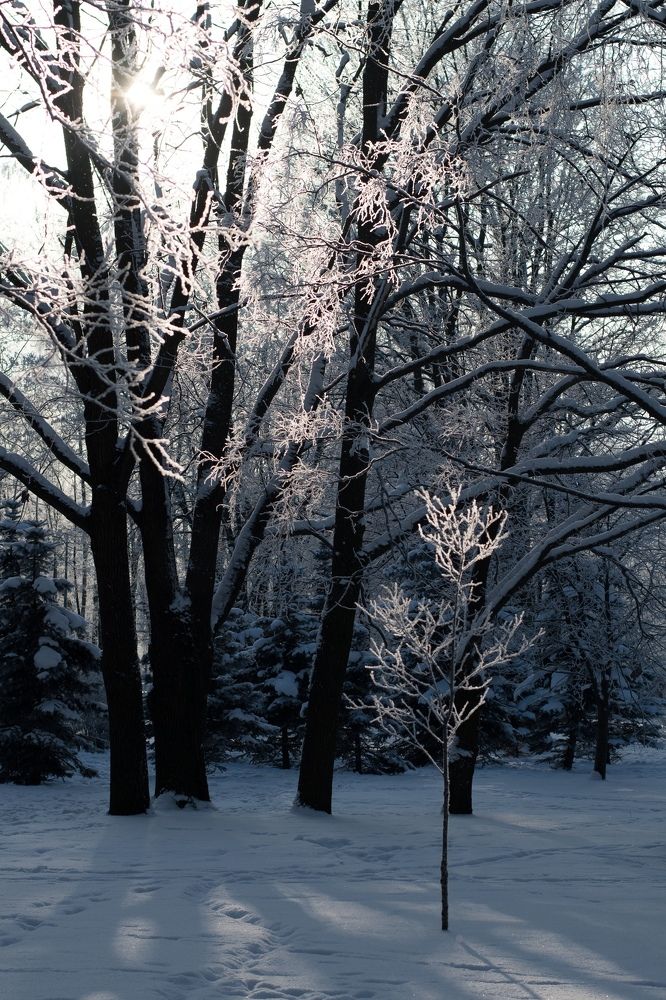 Photograph by Татьяна Юдина