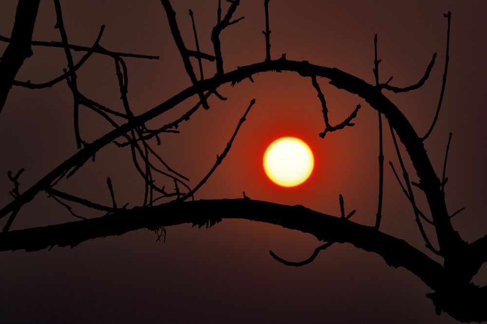 Photograph by Игорь Ковалёв