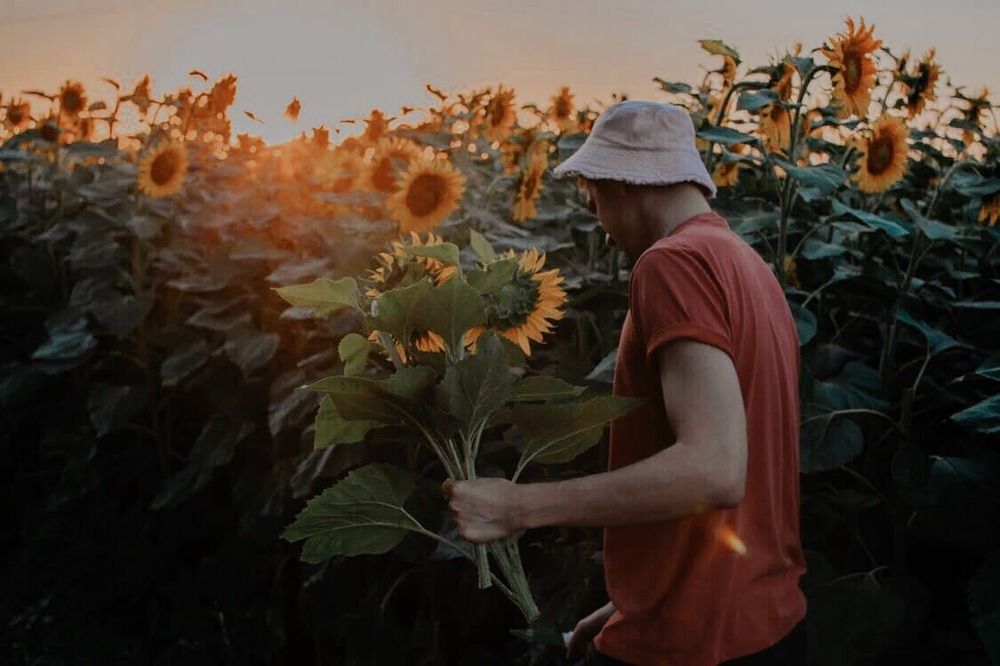 Photograph by Алина Коханова