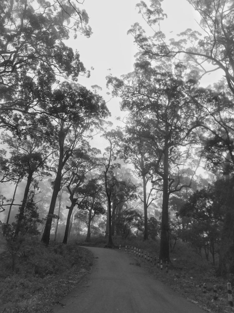 Photograph by Leni Tangmau