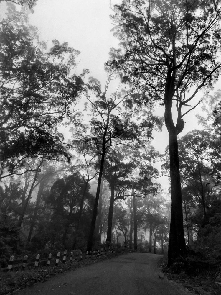 Photograph by Leni Tangmau