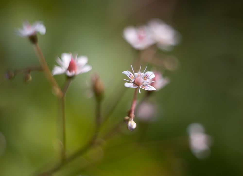 Photograph by Владимир Архипов