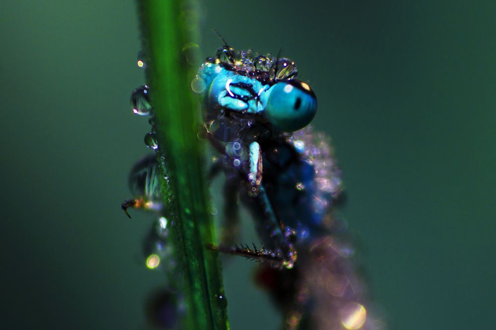 Photograph by Никита Овсянников