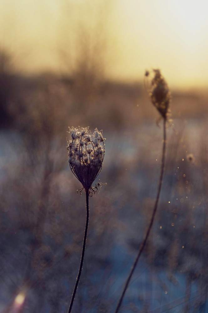 Photograph by Илона Краус