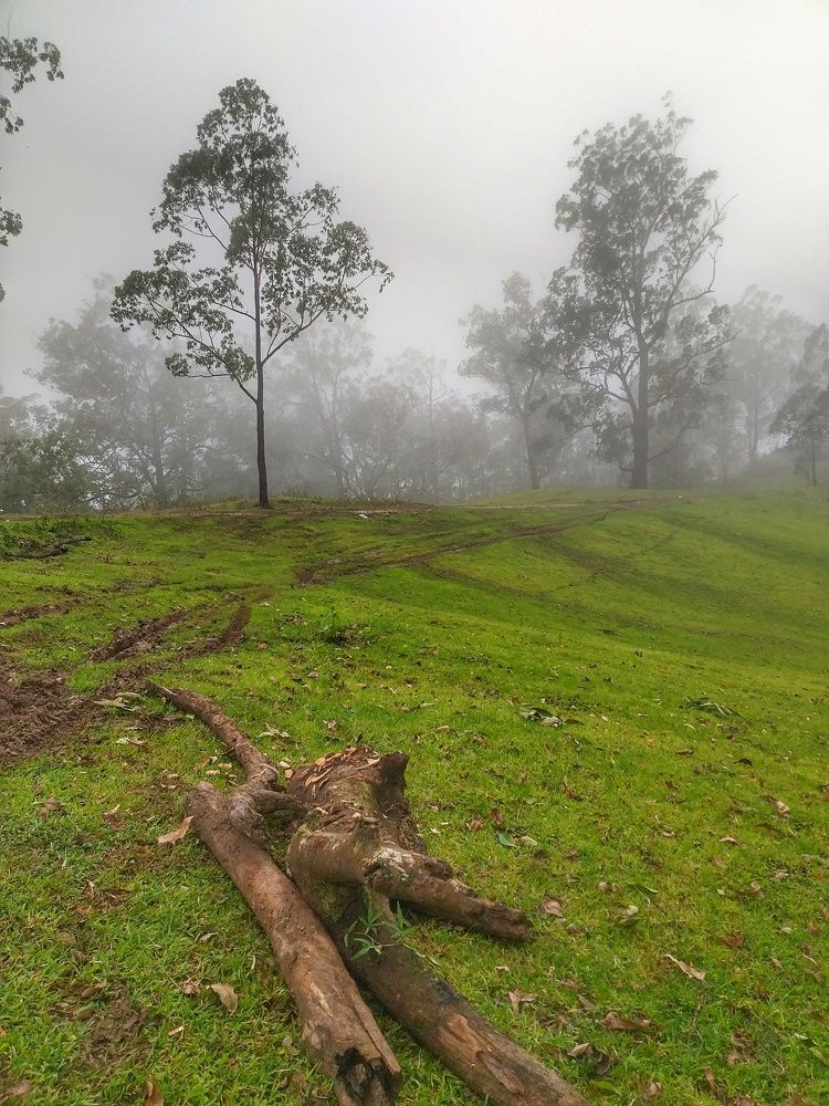 Photograph by Leni Tangmau