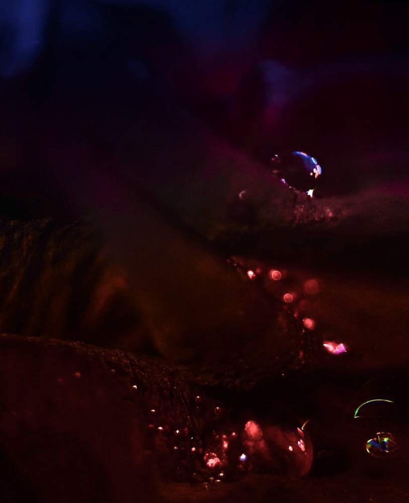 Photograph by Илона Краус