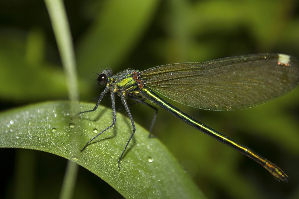 Photograph by Никита Овсянников