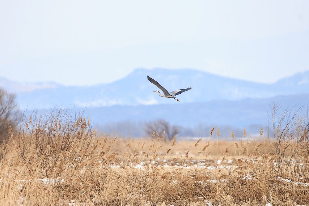 Photograph by Инна Корнеева