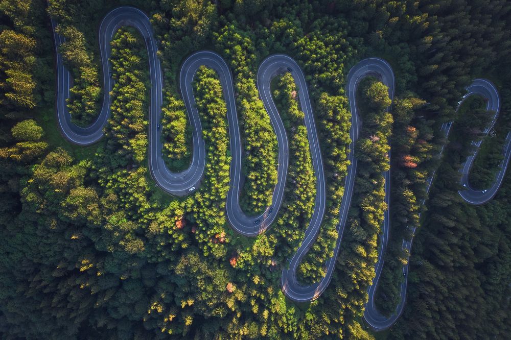 Photograph by Alex Coman