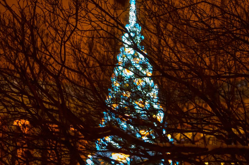 Photograph by Александр Ясинович