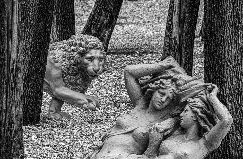 Photograph by Александр Филиппов