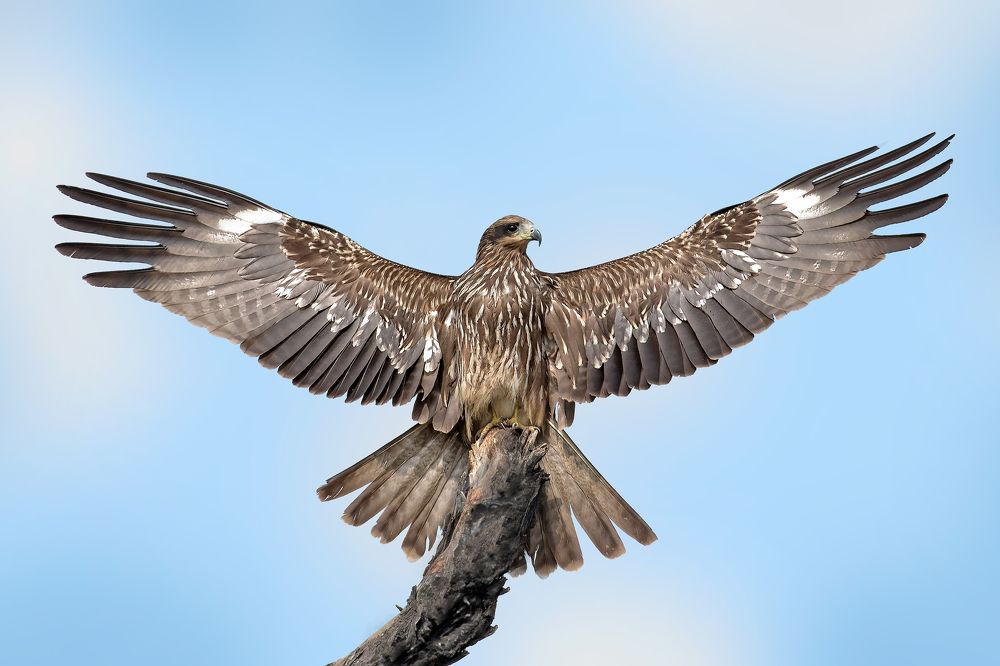 Nature's warm welcome