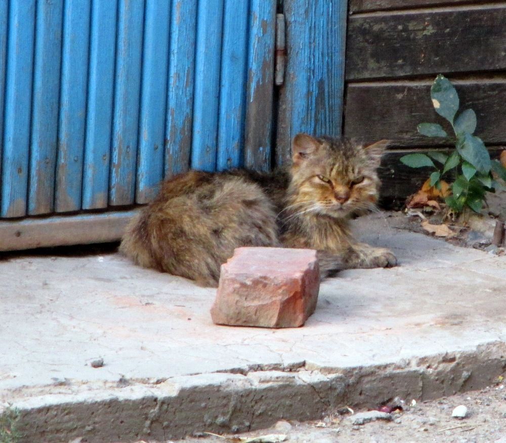 Photograph by Анатолий Плужников