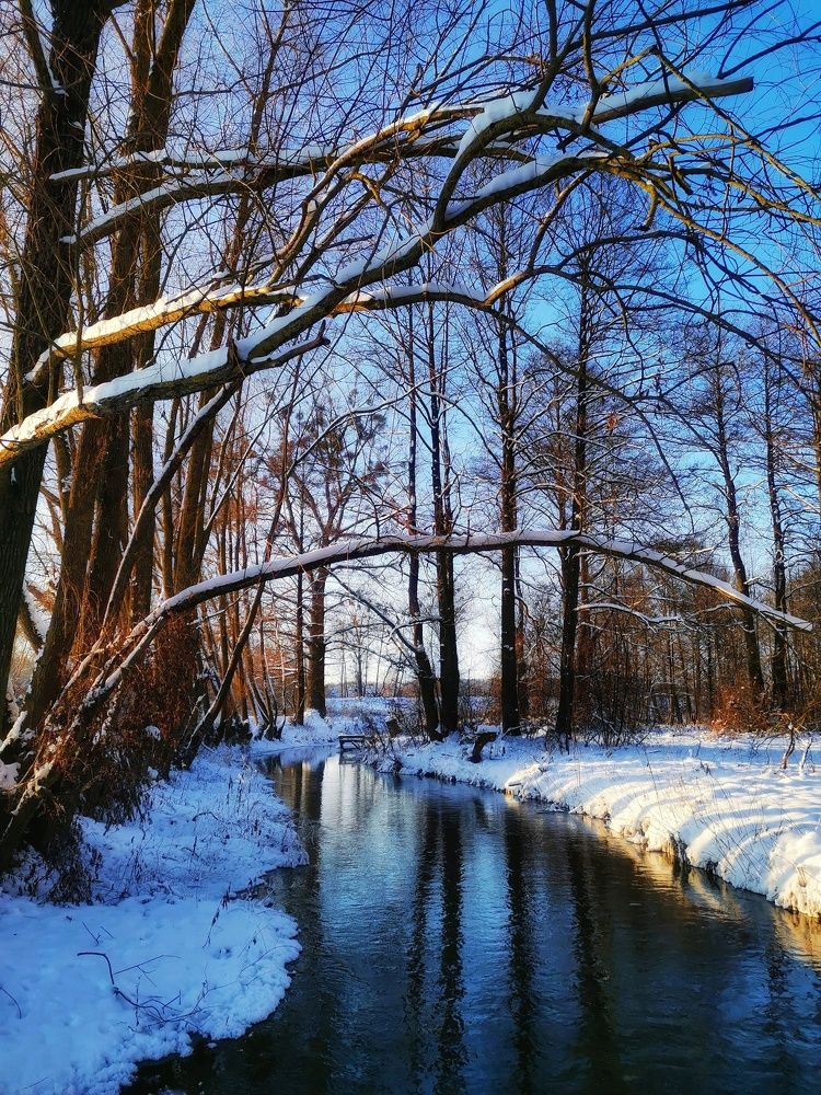 Photograph by Екатерина Ремез