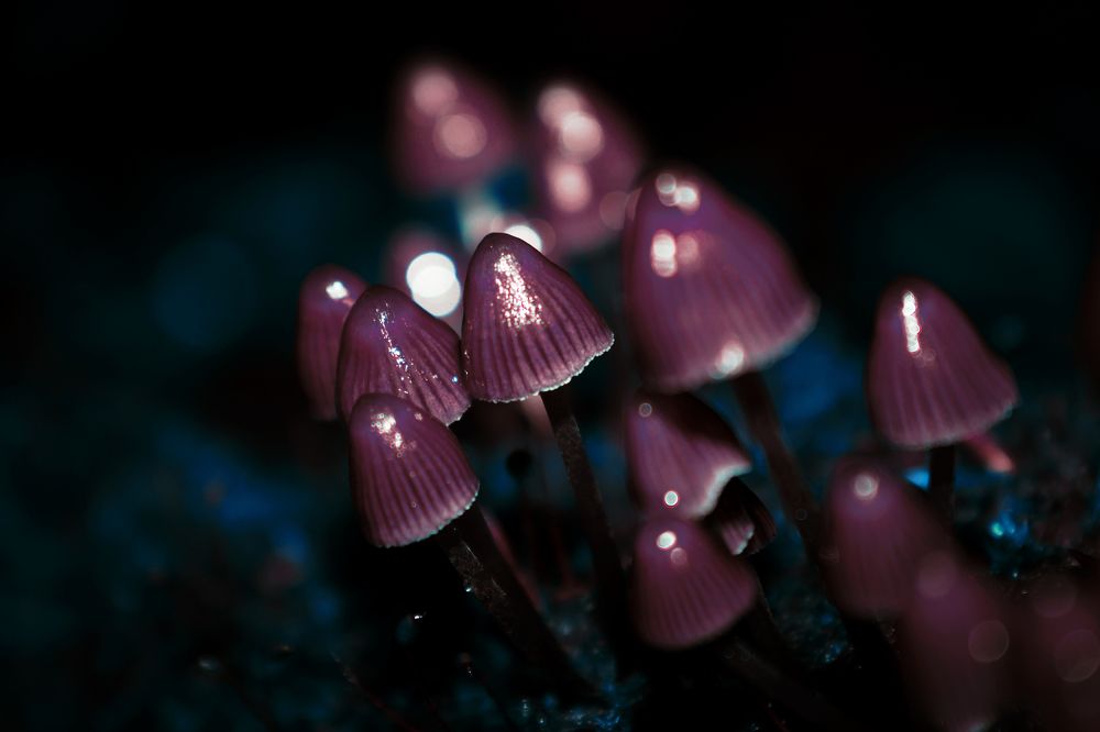 Photograph by Никита Овсянников