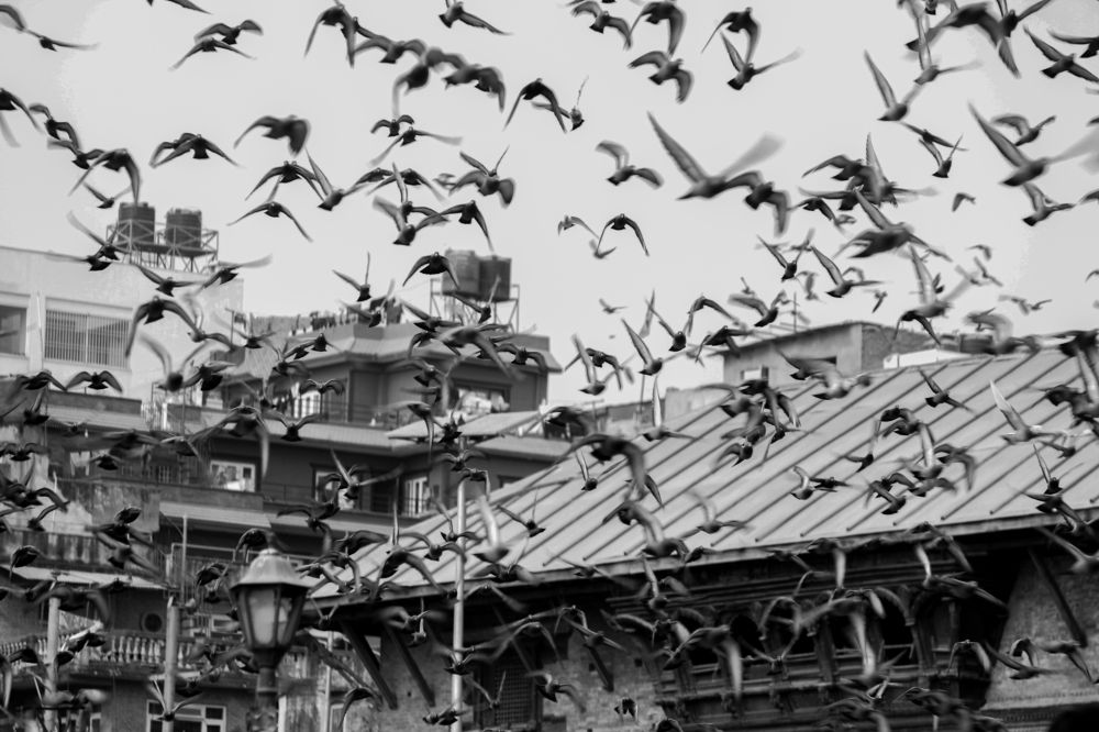 Photograph by Nirjan Mahat