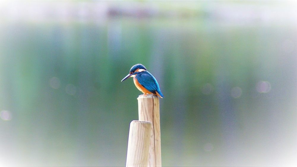 Photograph by Bernard Radelet