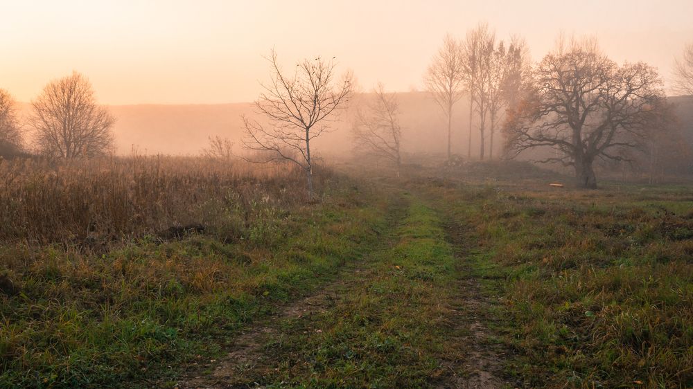 Photograph by Ольга Линк