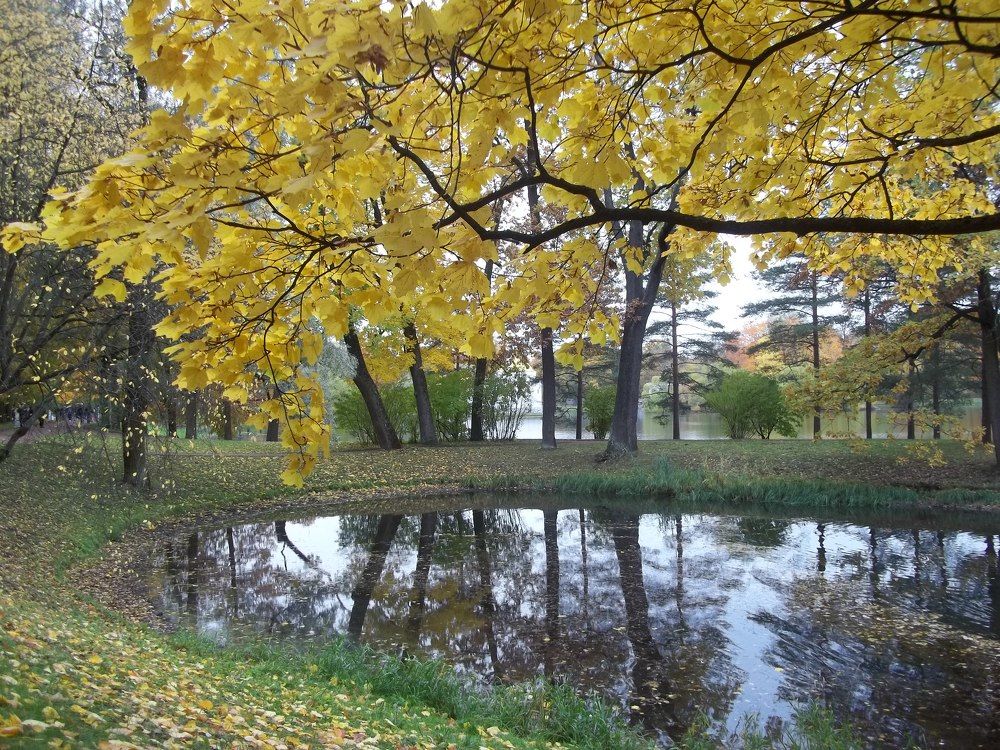 Photograph by Людмила