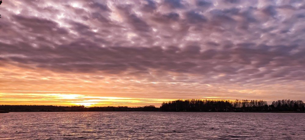 Photograph by Monika Savic