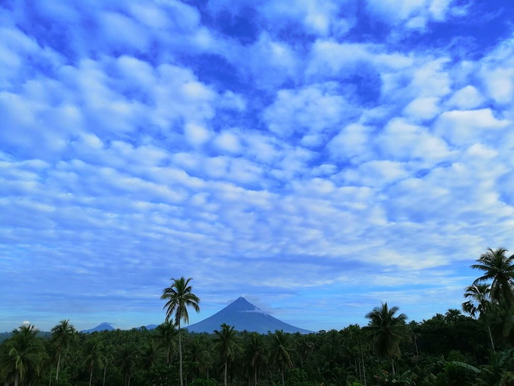 Photo #5721384