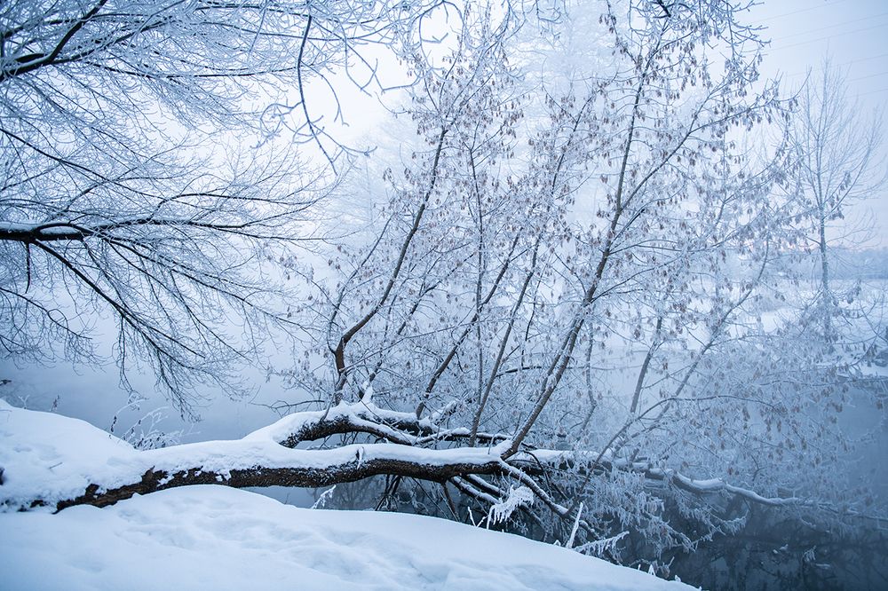 Photograph by Светлана Кужагалиева