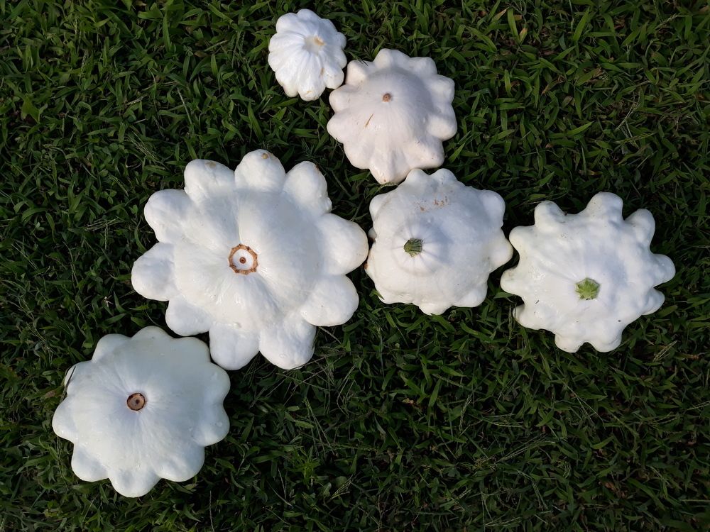 Photograph by Barnabás Csaplár