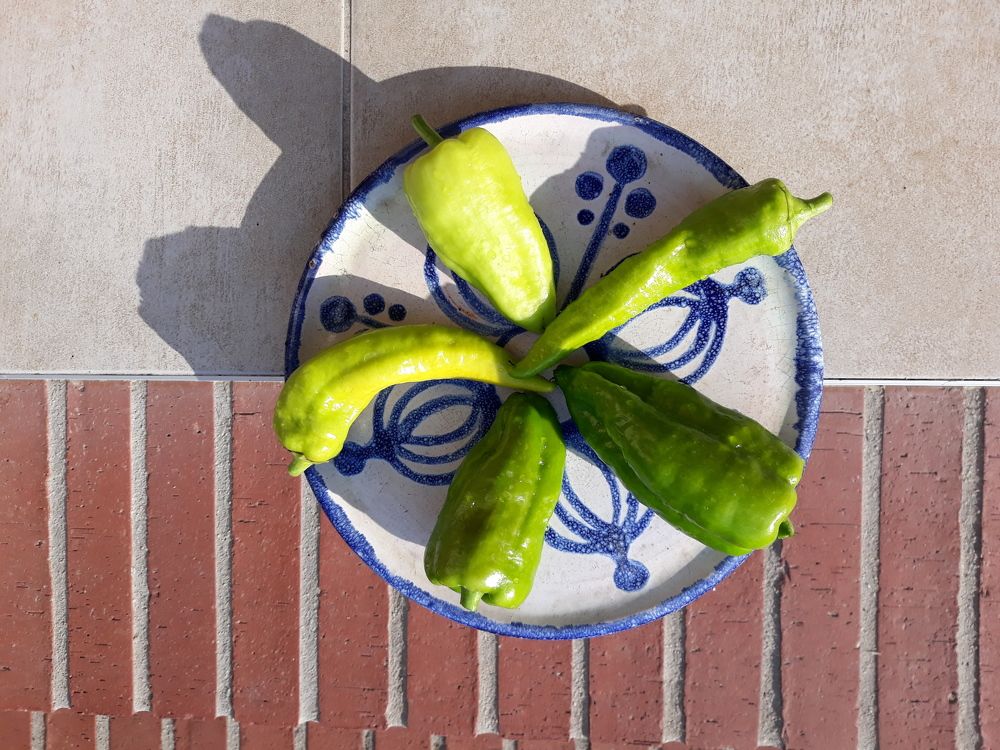 Photograph by Barnabás Csaplár