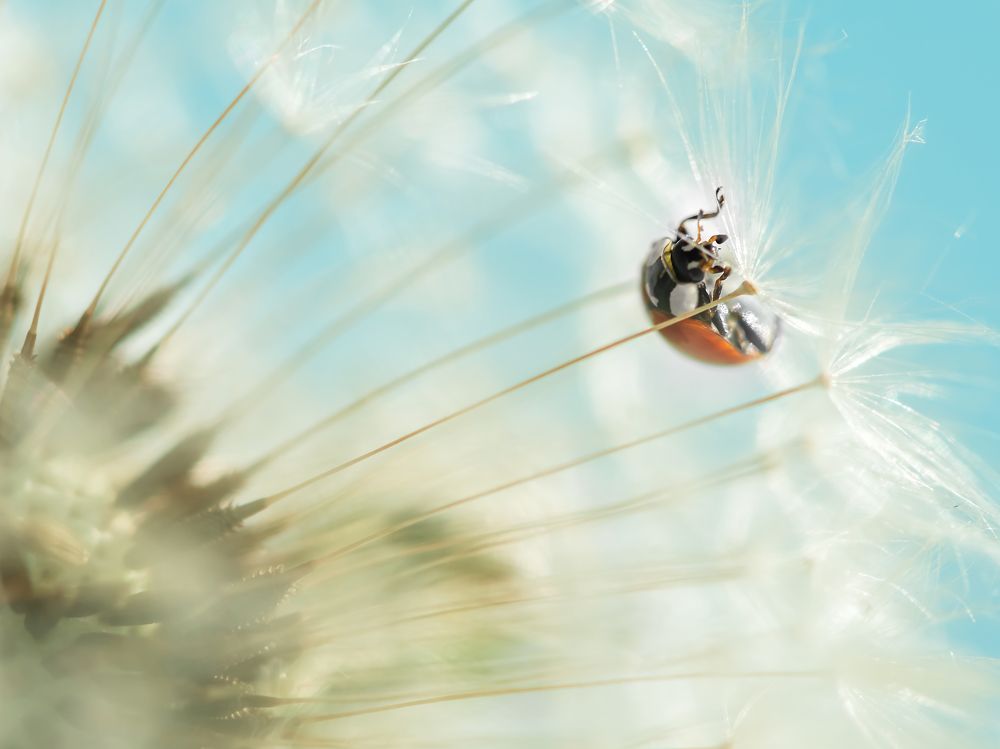 Photograph by Ольга Ильина