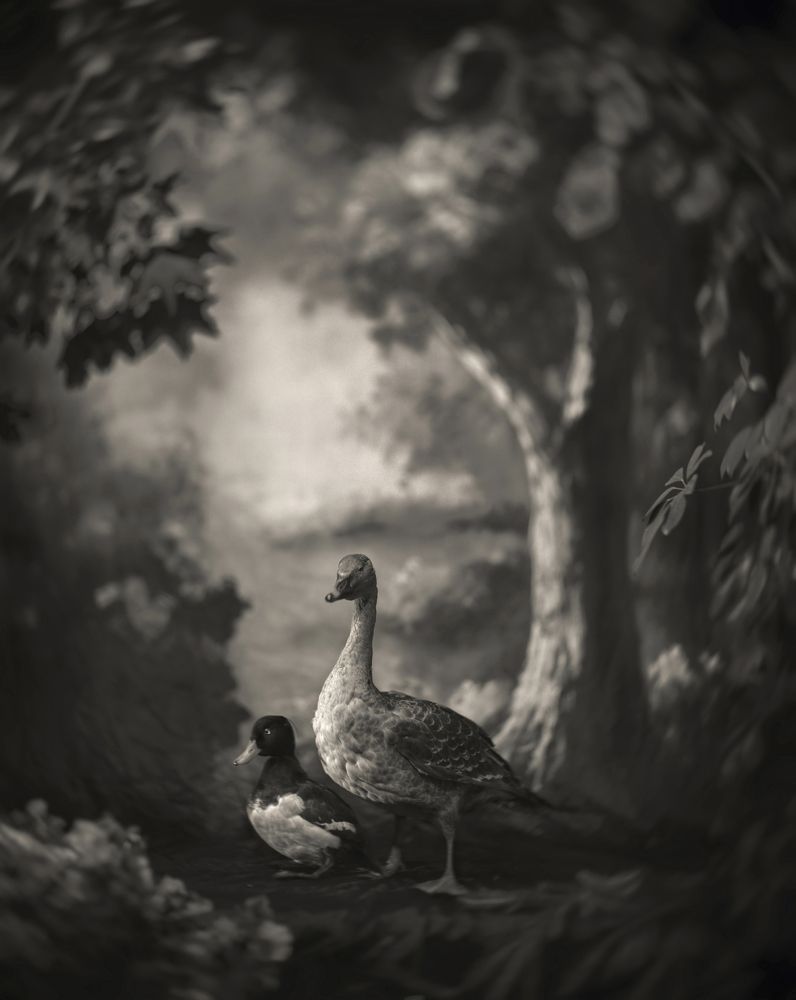 Photograph by waldemar markiewka