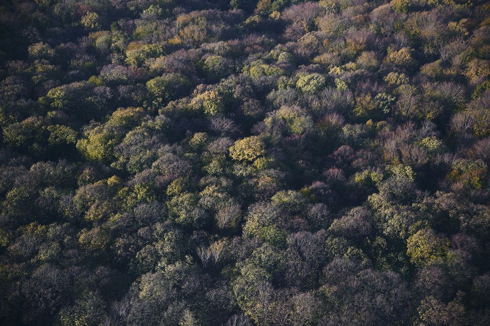 Photograph by Tamara Antonovic