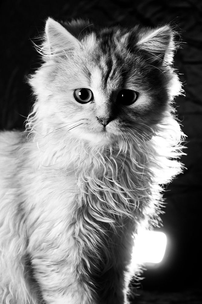 Photograph by Валерия Зайцева