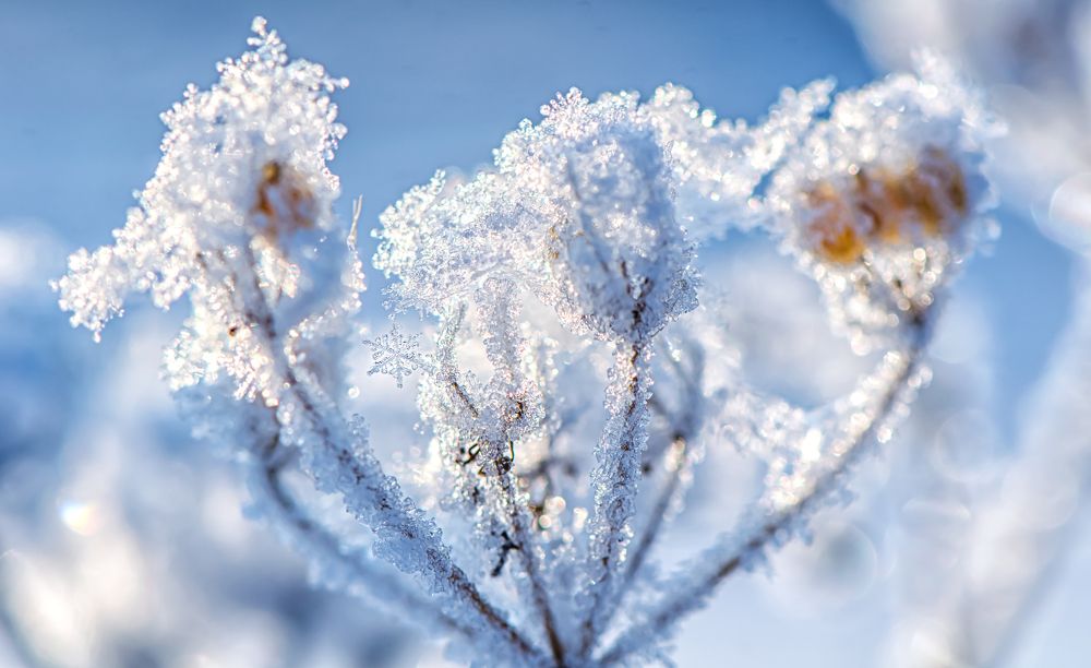 Photograph by Ольга Ильина