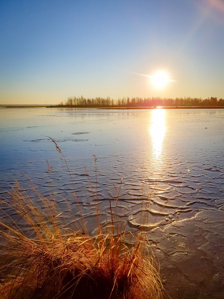 Сестрорецкий Разлив.