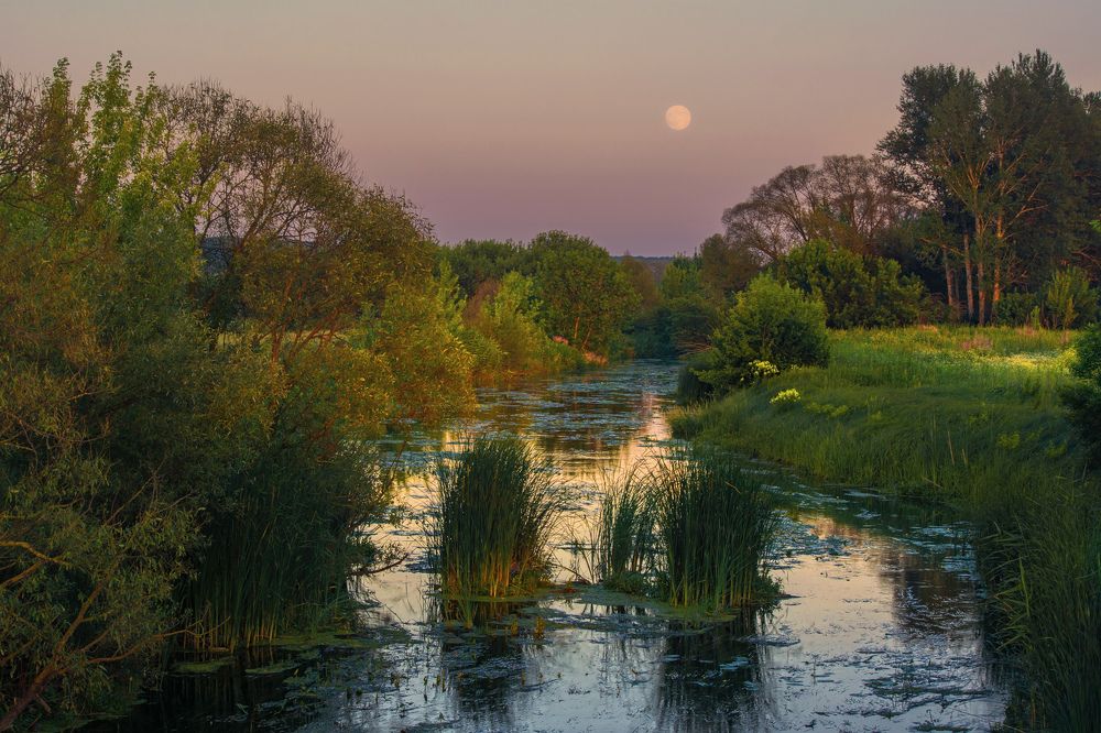 Photograph by Оксана Ильченко