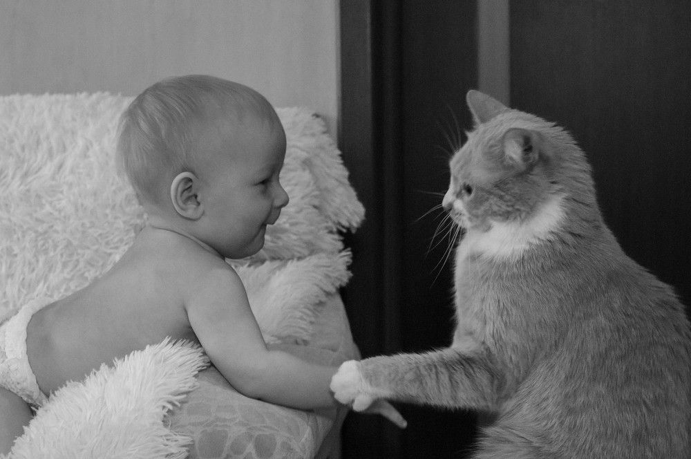 Photograph by Диана Норикян