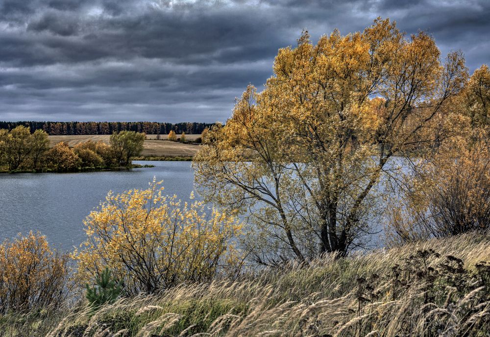 Фотография автора Александр Сальников
