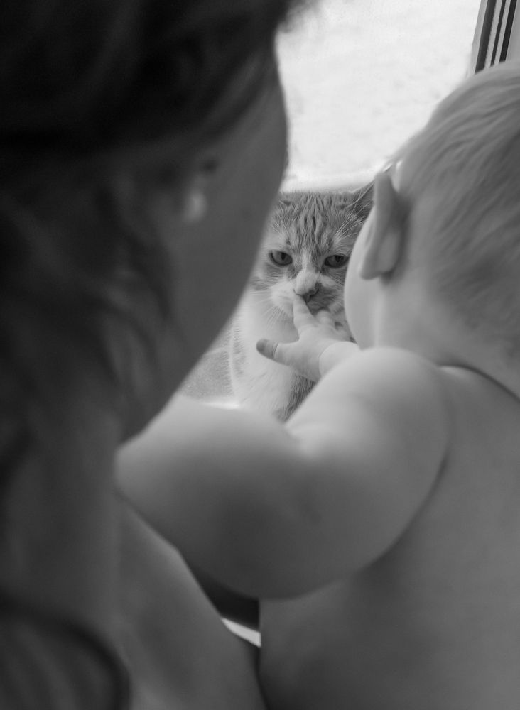 Photograph by Диана Норикян