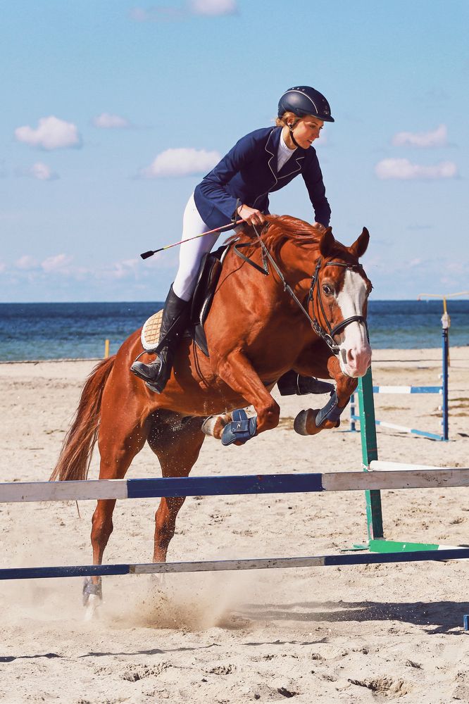 Photograph by Владимир Харчиков