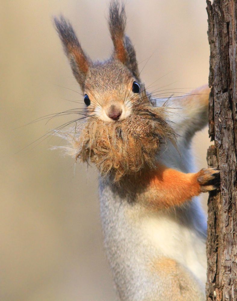 Фотография автора Михаил Крюков