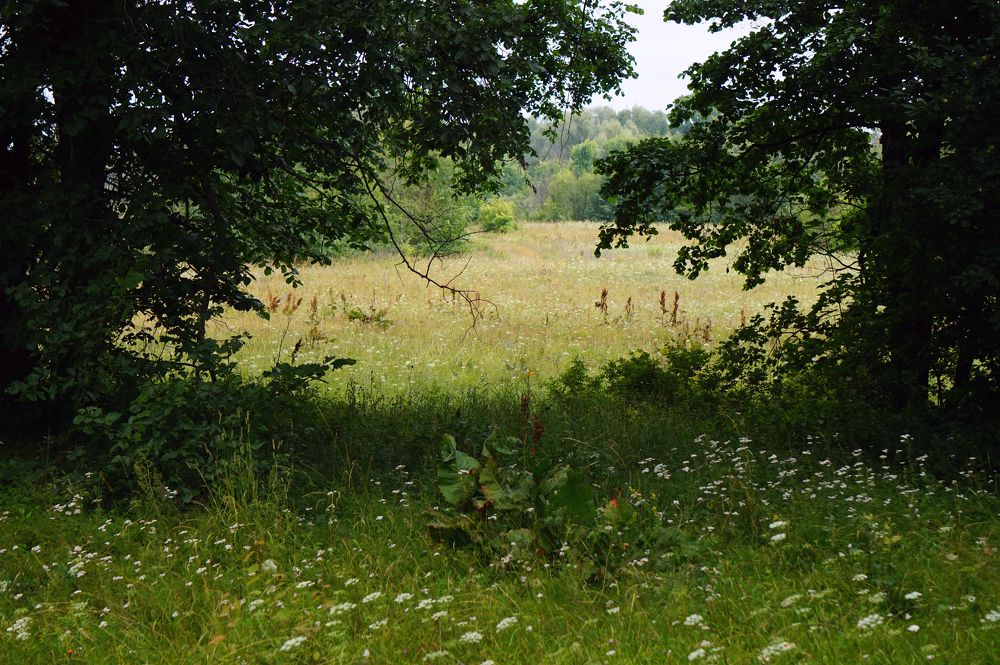 Photograph by Измаил Ефимов