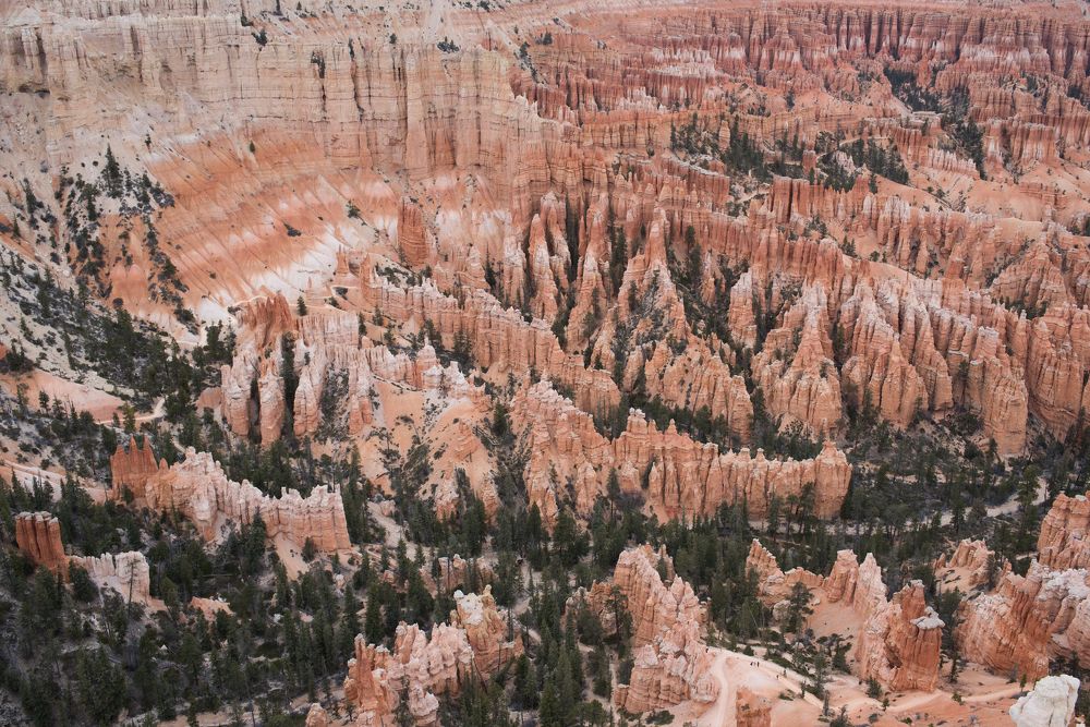 Photograph by Ирина Корнева