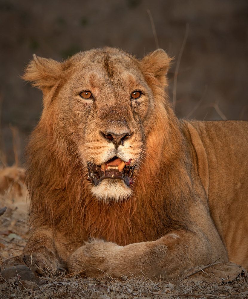 Photograph by Nishant Vyas