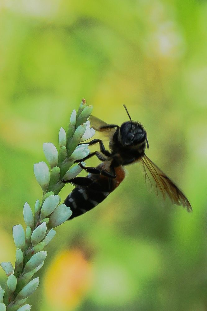 Photograph by Monoj Kumar Das
