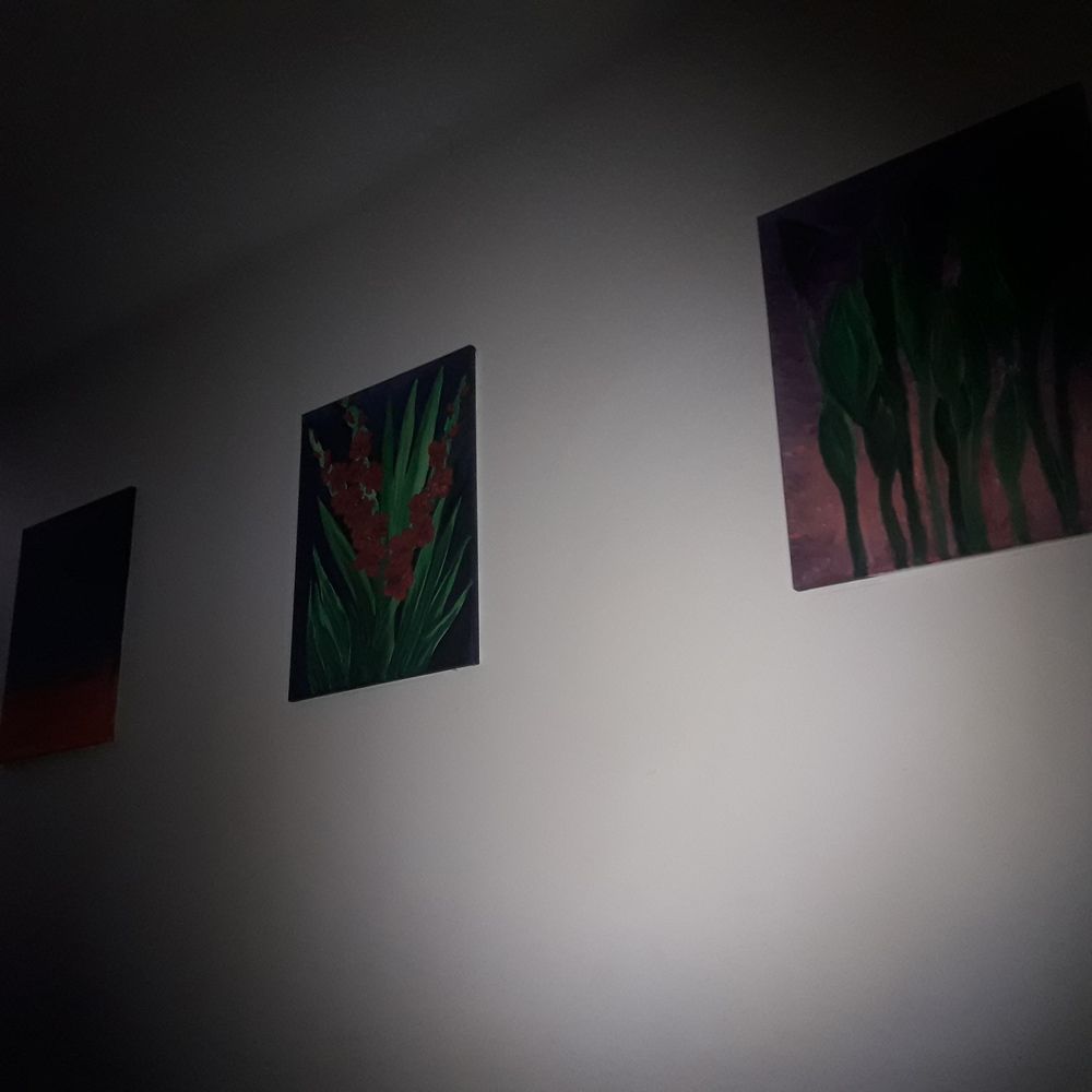Photo #5722109